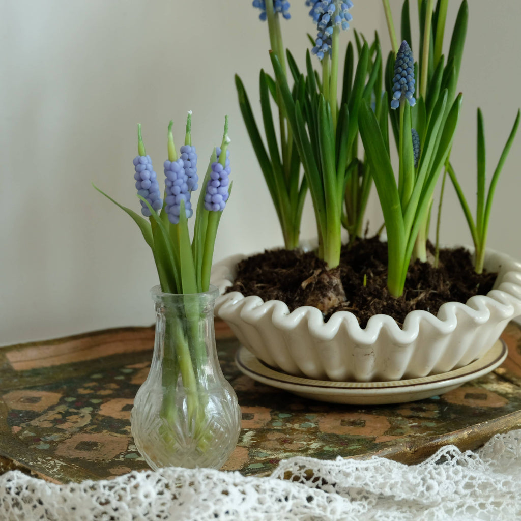 Muscari Flower Birthday Candles – Set of 5
