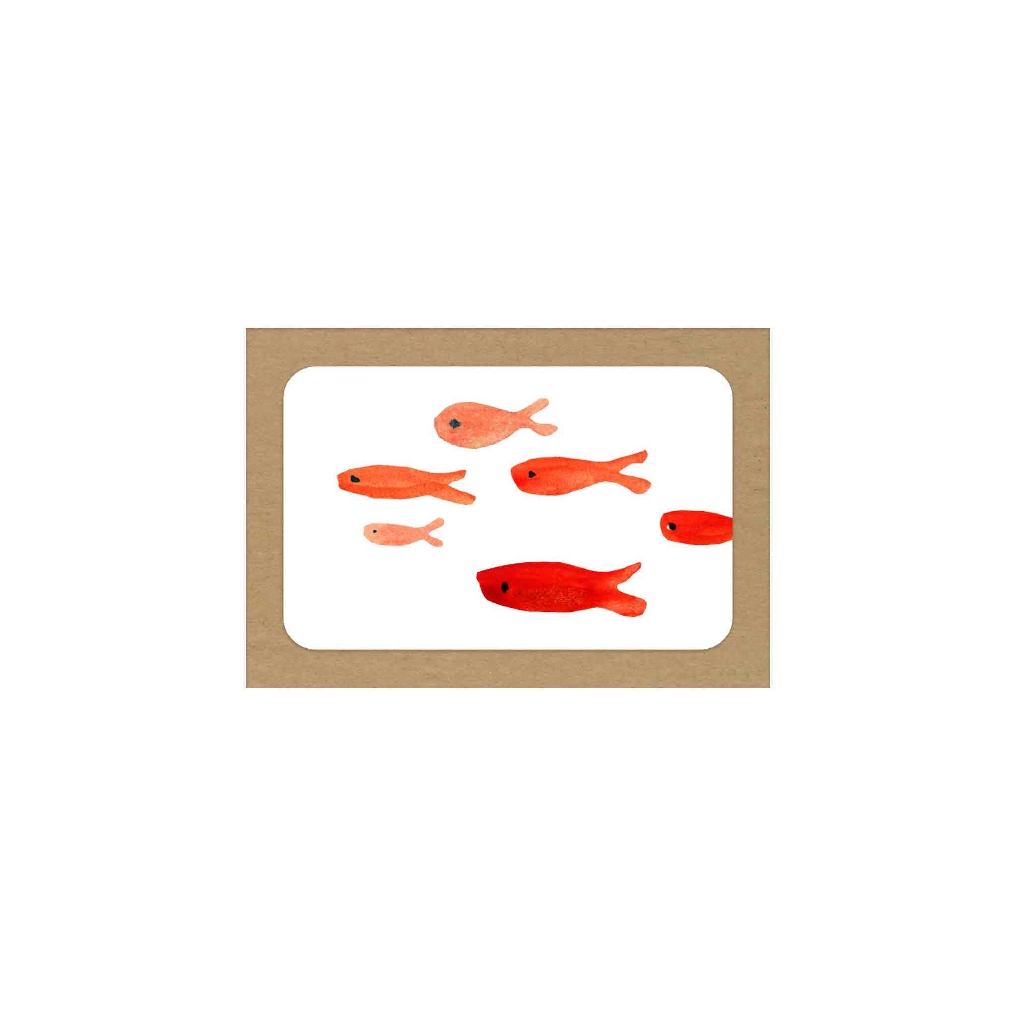 Red Fish / Boxed Blank Note Cards
