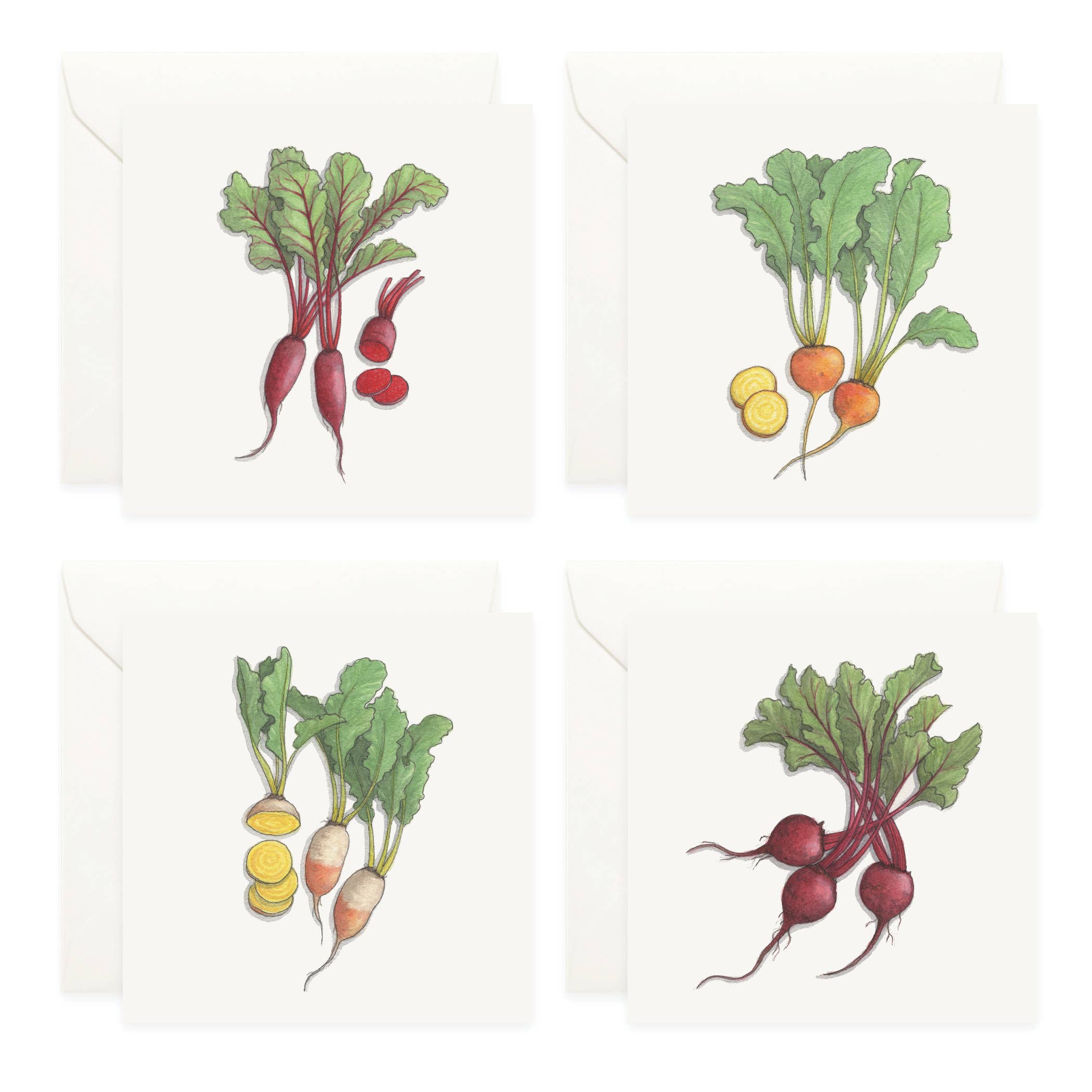 Mini Cards Set / Vegetables . Beets