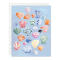 Shells - Love + Friendship Card
