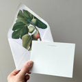 Fall Figs Letterpress Stationery Pack