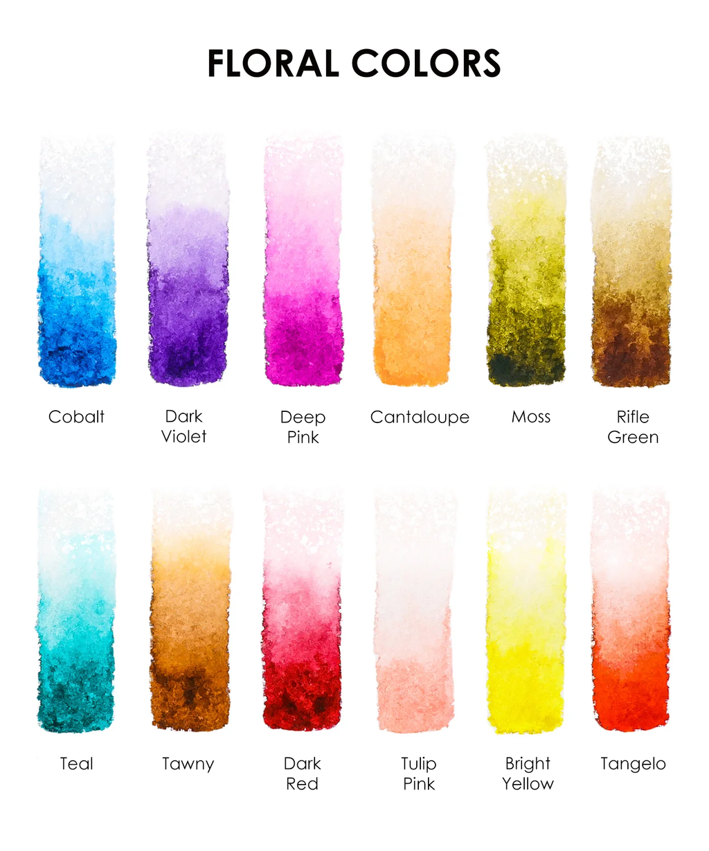 Watercolor Pocket Set Of 12 With Brush