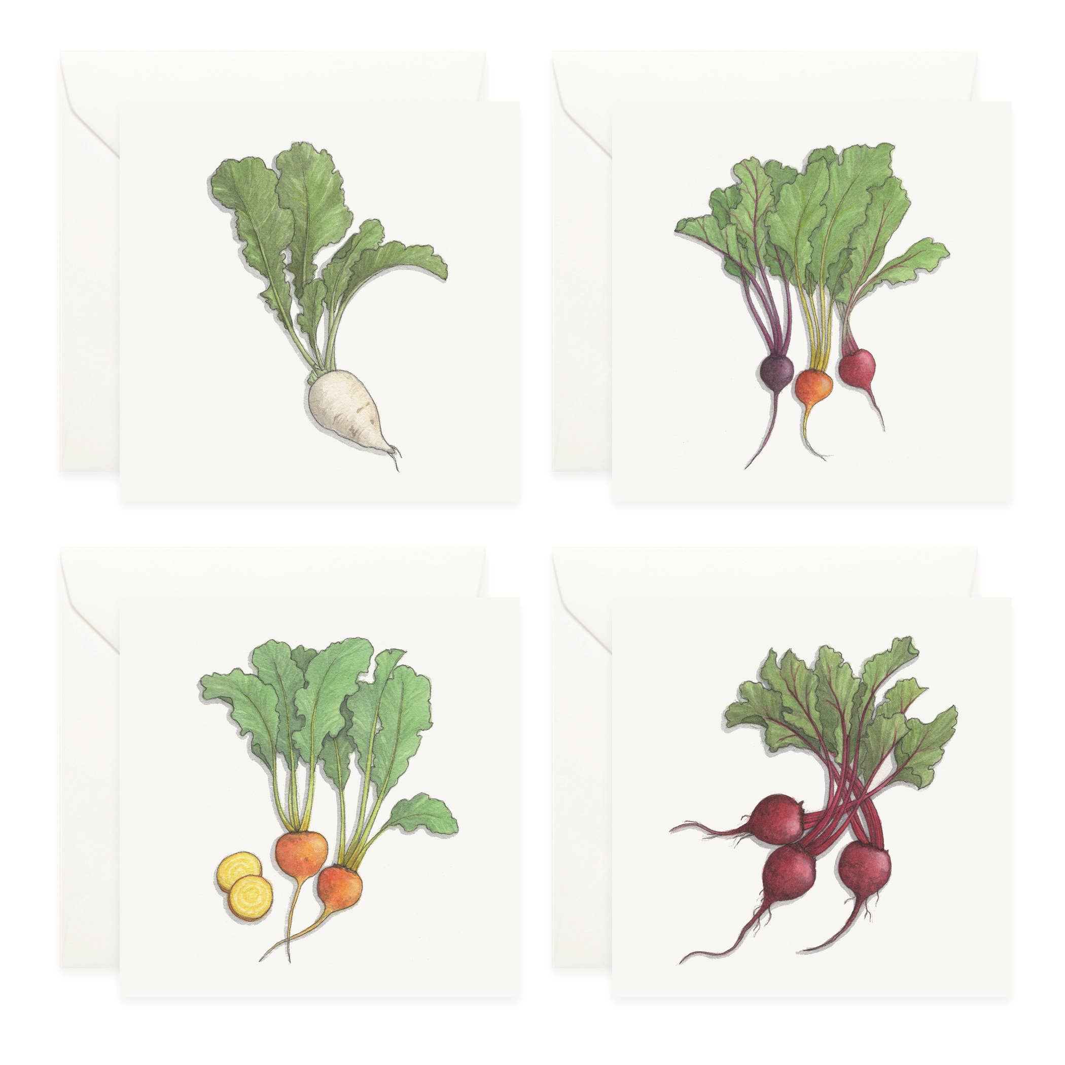 Mini Cards Set / Vegetables . Beets