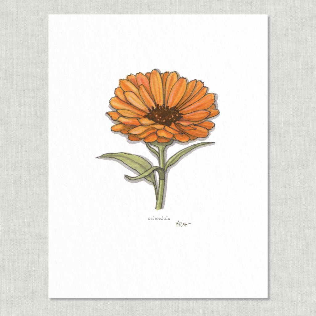 Prints / Flowers (1 of 2)