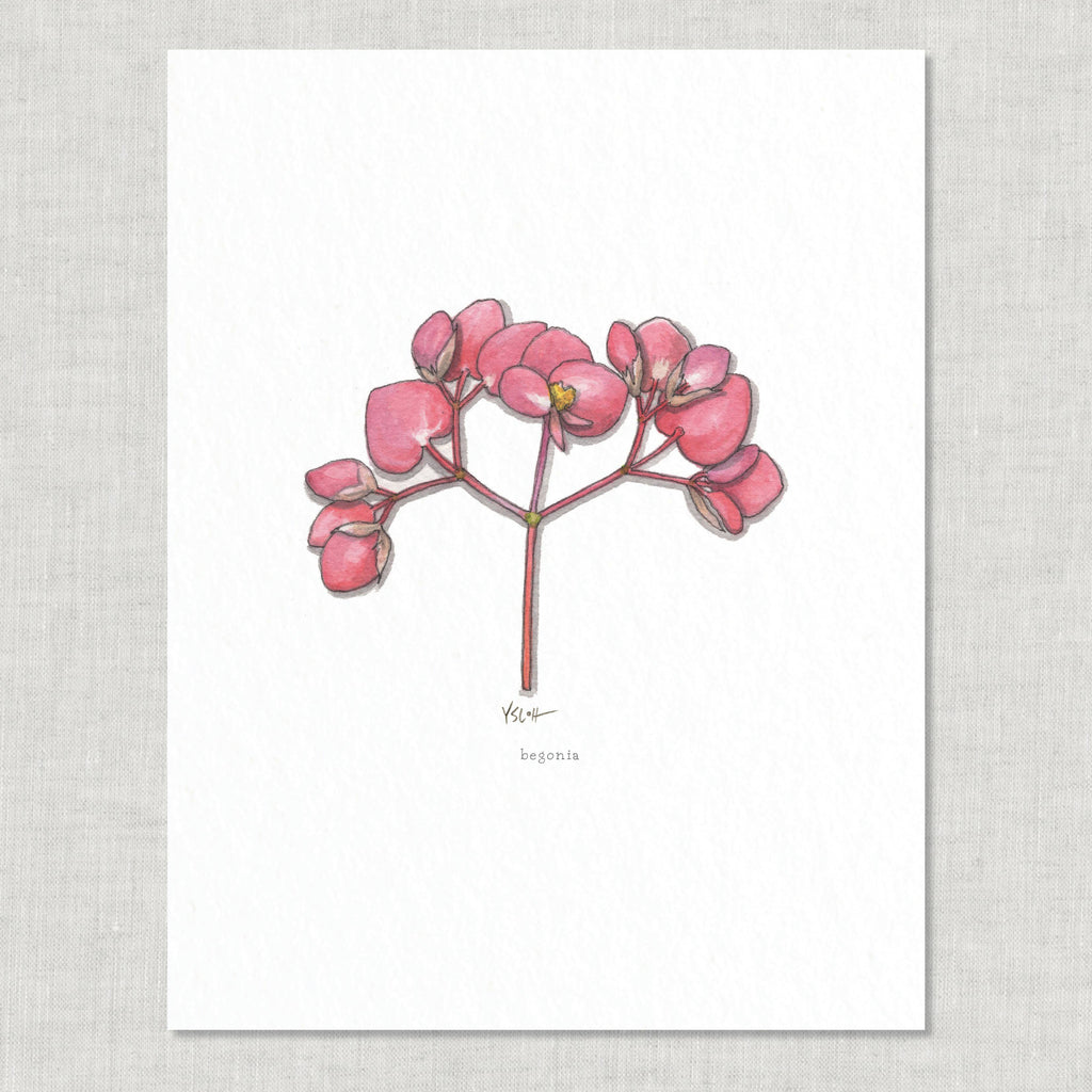 Prints / Flowers (1 of 2)