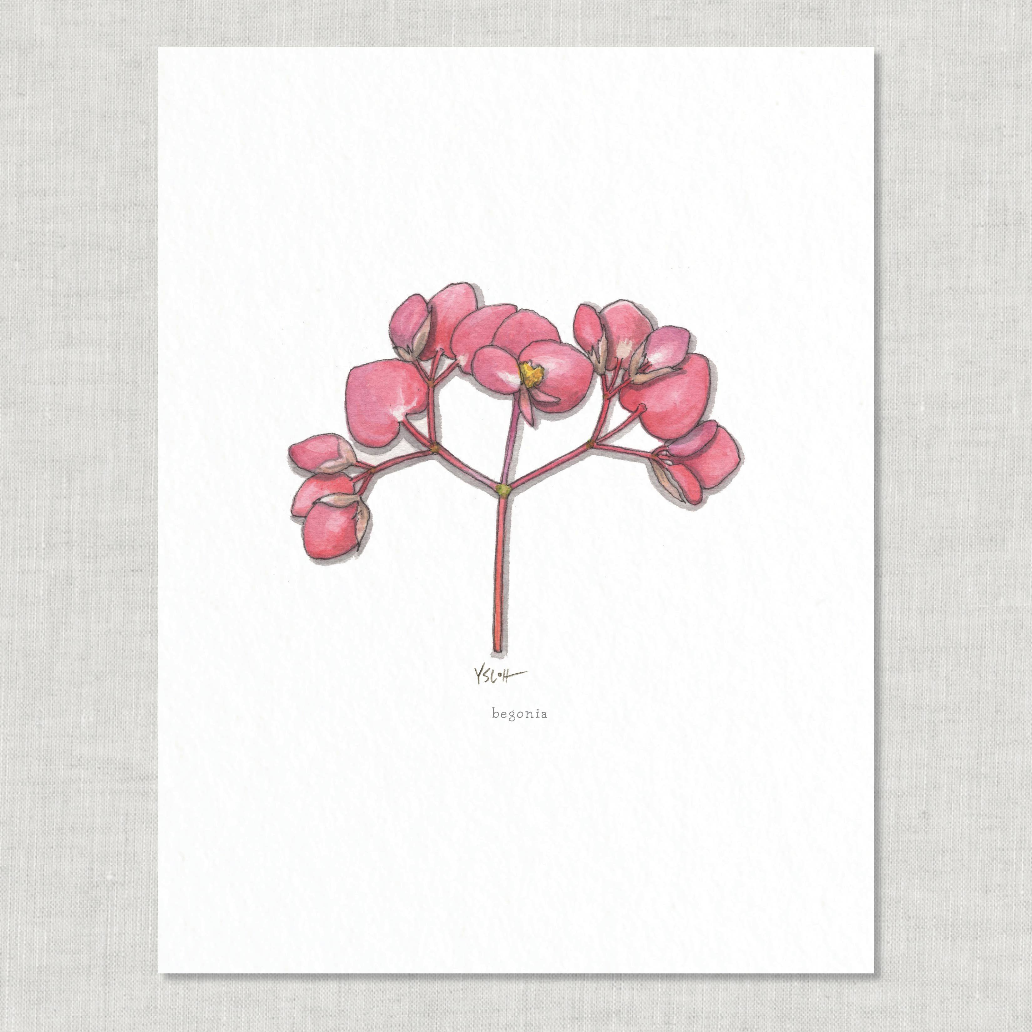 Prints / Flowers (1 of 2)
