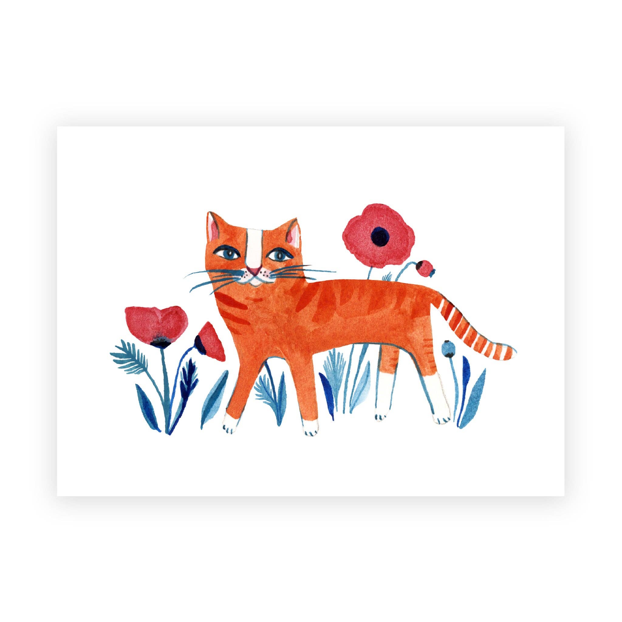 Orange Kitty with Poppies / Boxed Note Cards