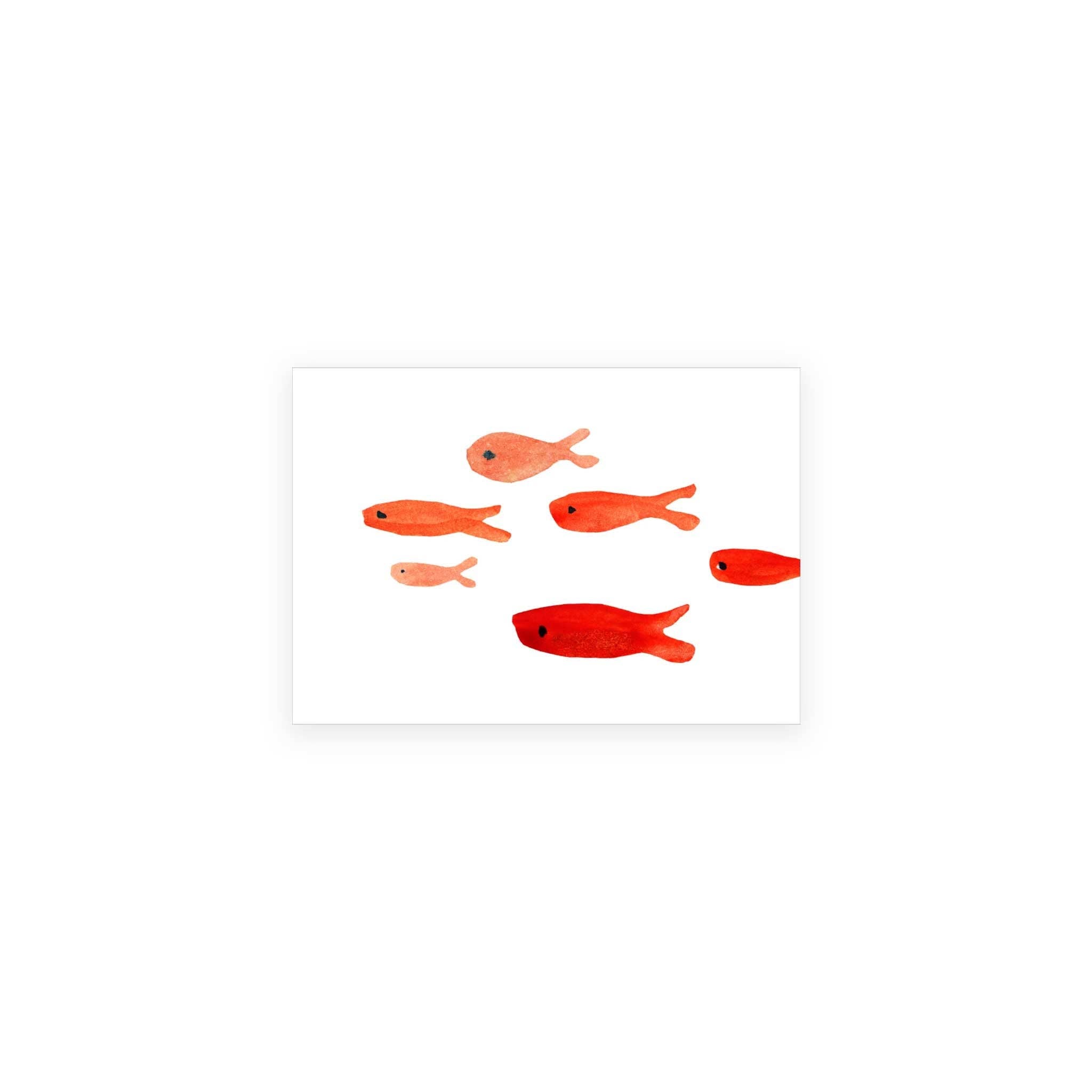 Red Fish / Boxed Blank Note Cards