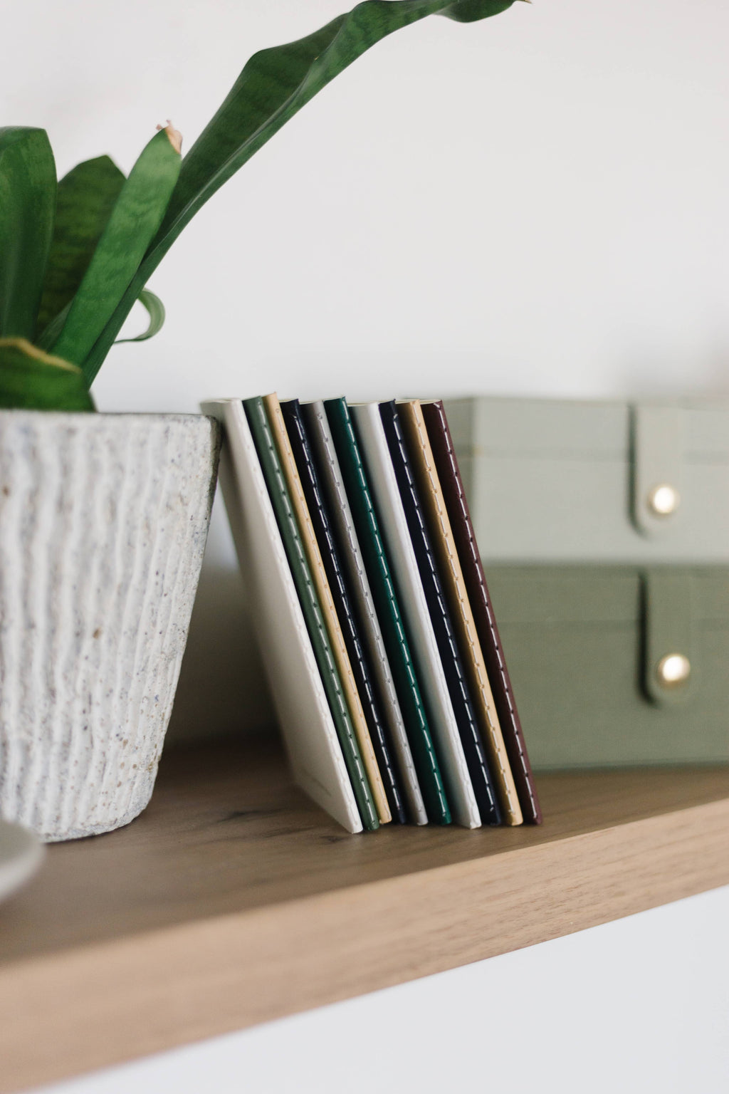 Blank Mini Saddle Stitch Notebooks | Stitched Booklets: Olive green