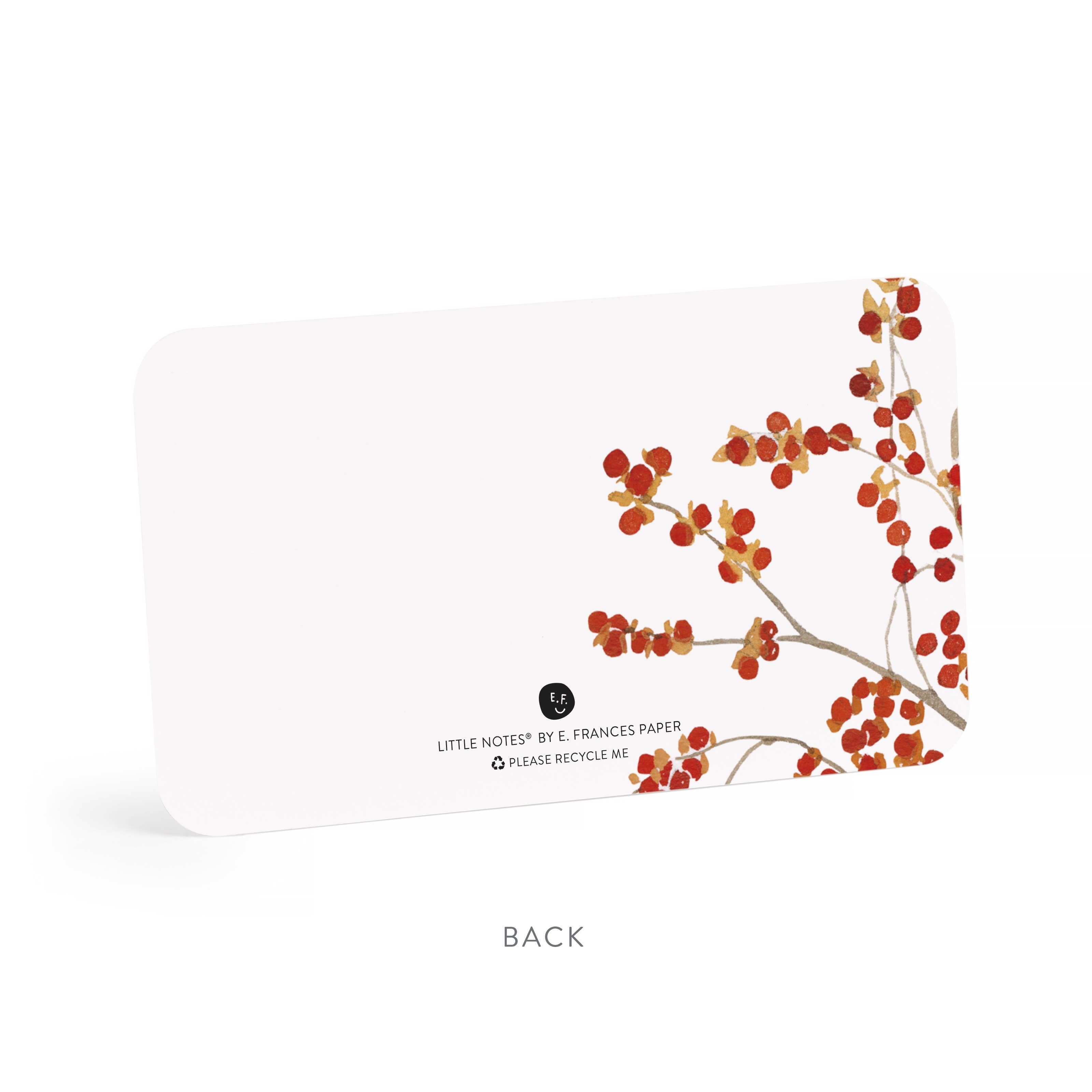 Autumn Berry Pitcher Little Notes® – Notecards, Set of 55