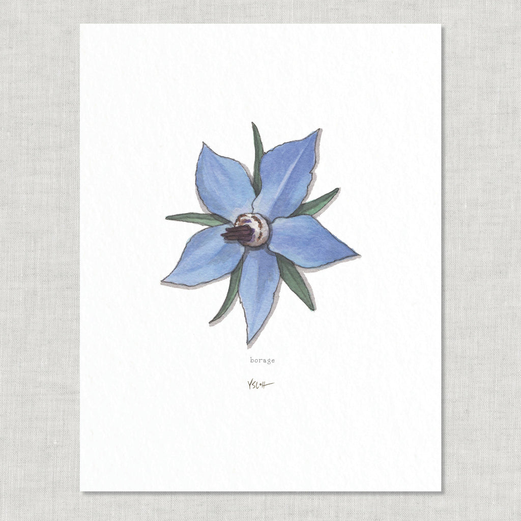 Prints / Flowers (1 of 2)