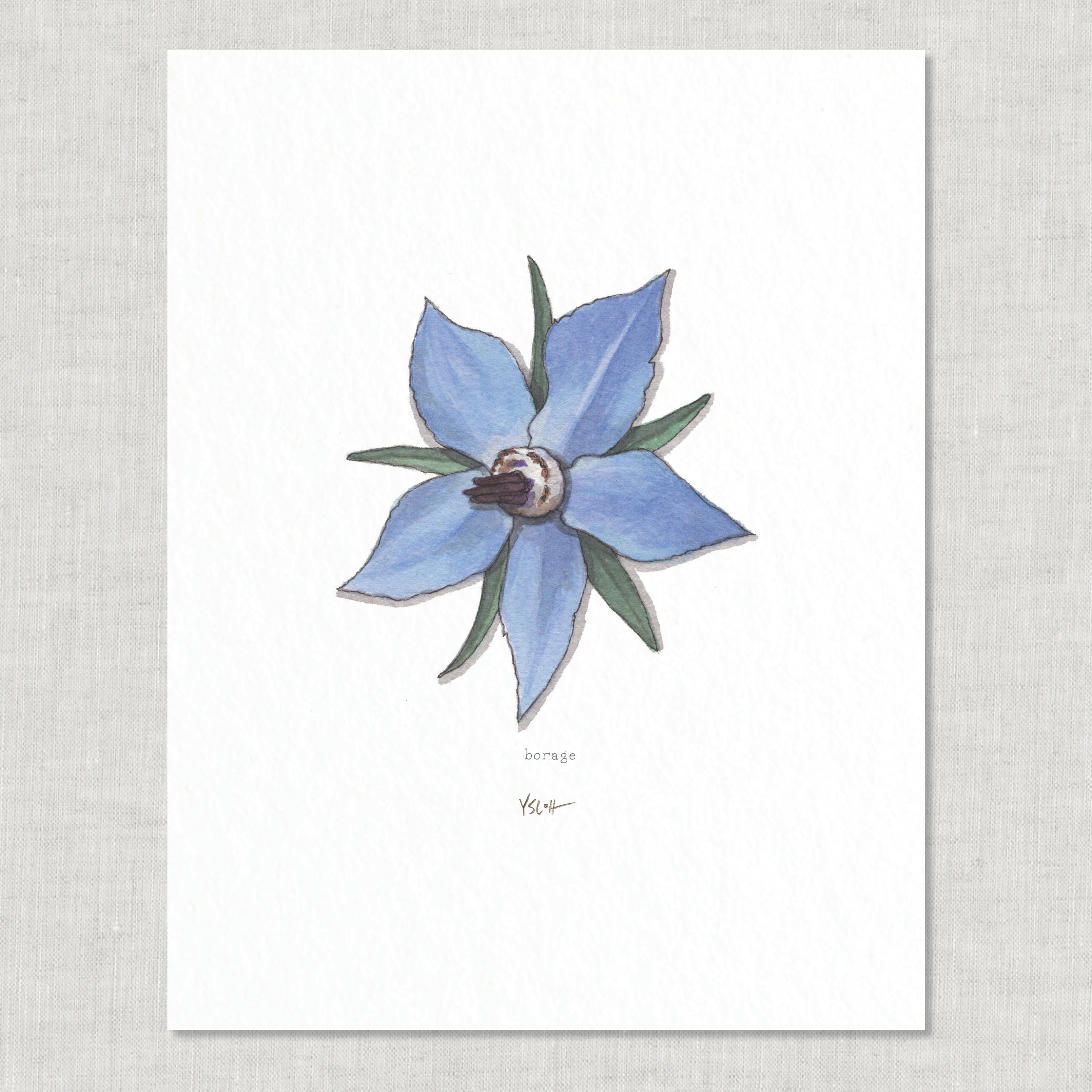 Prints / Flowers (1 of 2)