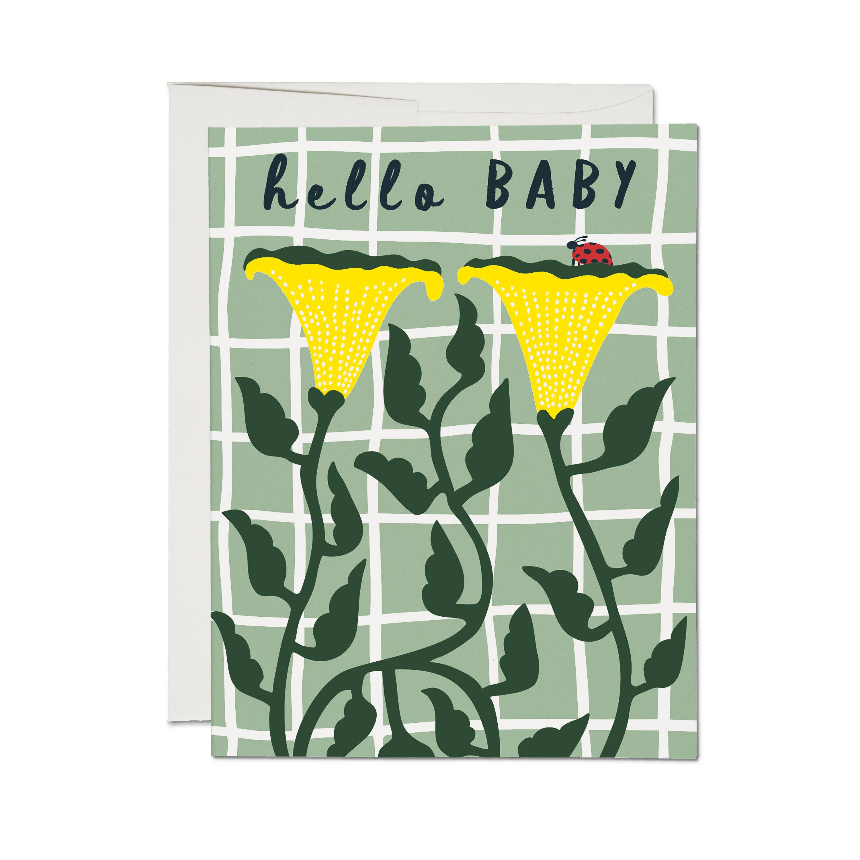 Ladybug Baby greeting card