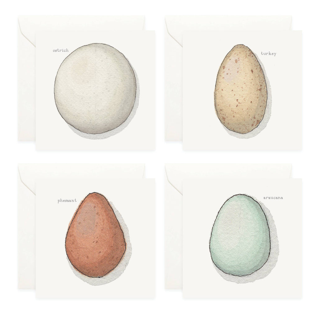 Mini Cards Set / Eggs . Types