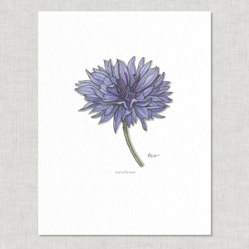 Prints / Flowers (1 of 2)