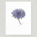 Prints / Flowers (1 of 2)