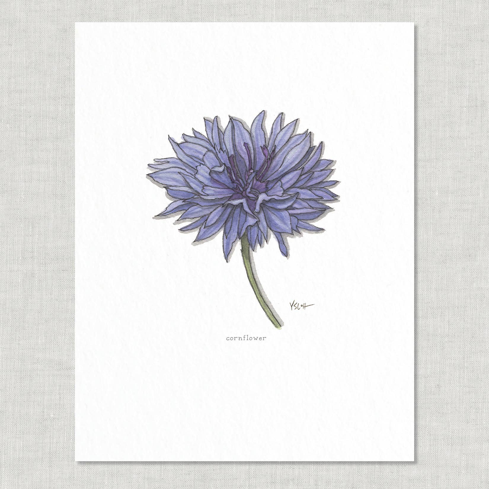 Prints / Flowers (1 of 2)