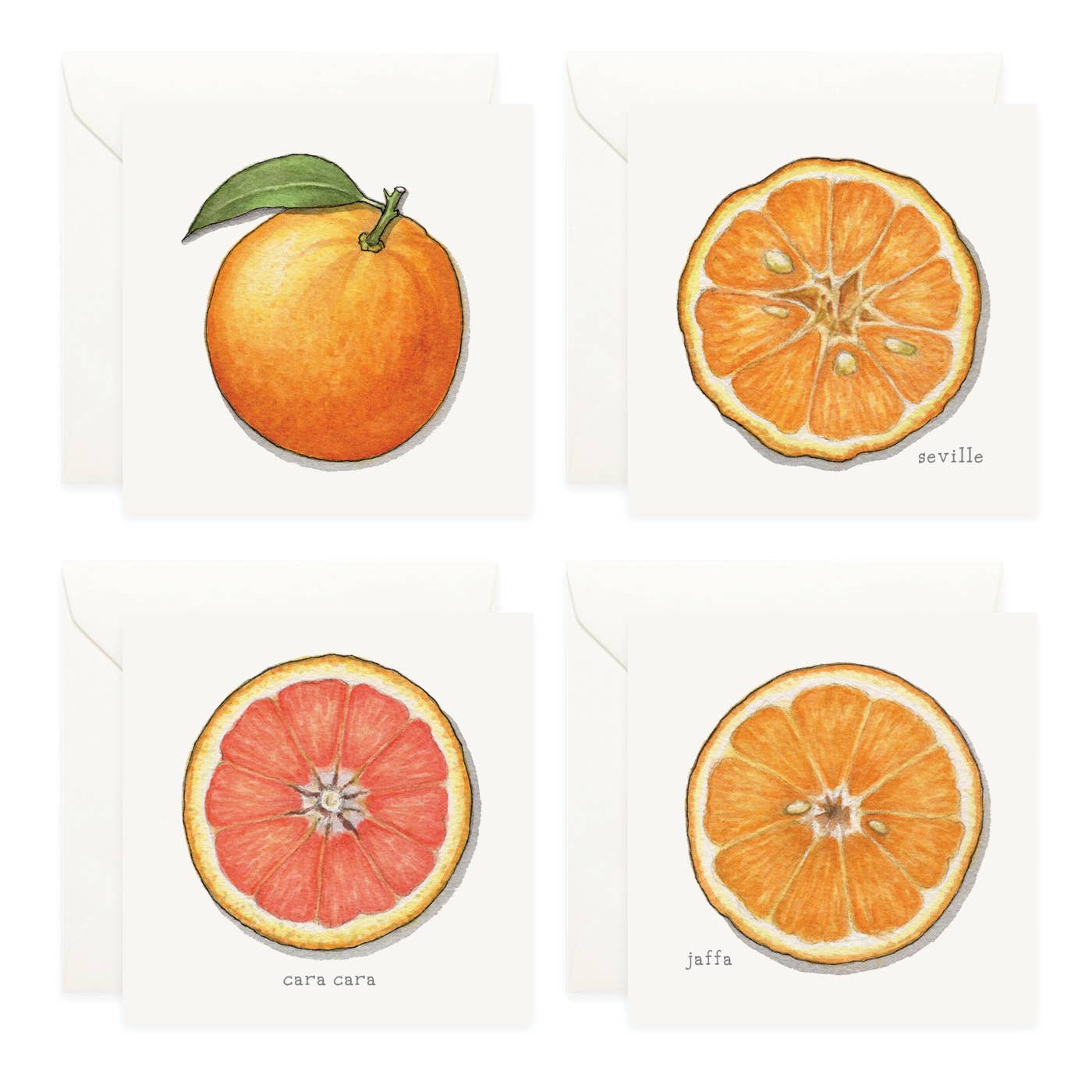 Mini Cards Set / Fruit . Oranges